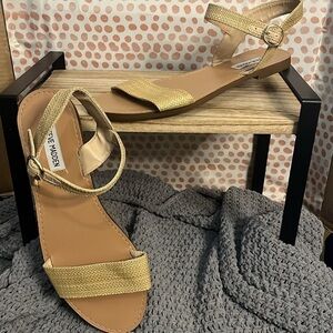 Steve Madden Women's Donddi Sandal